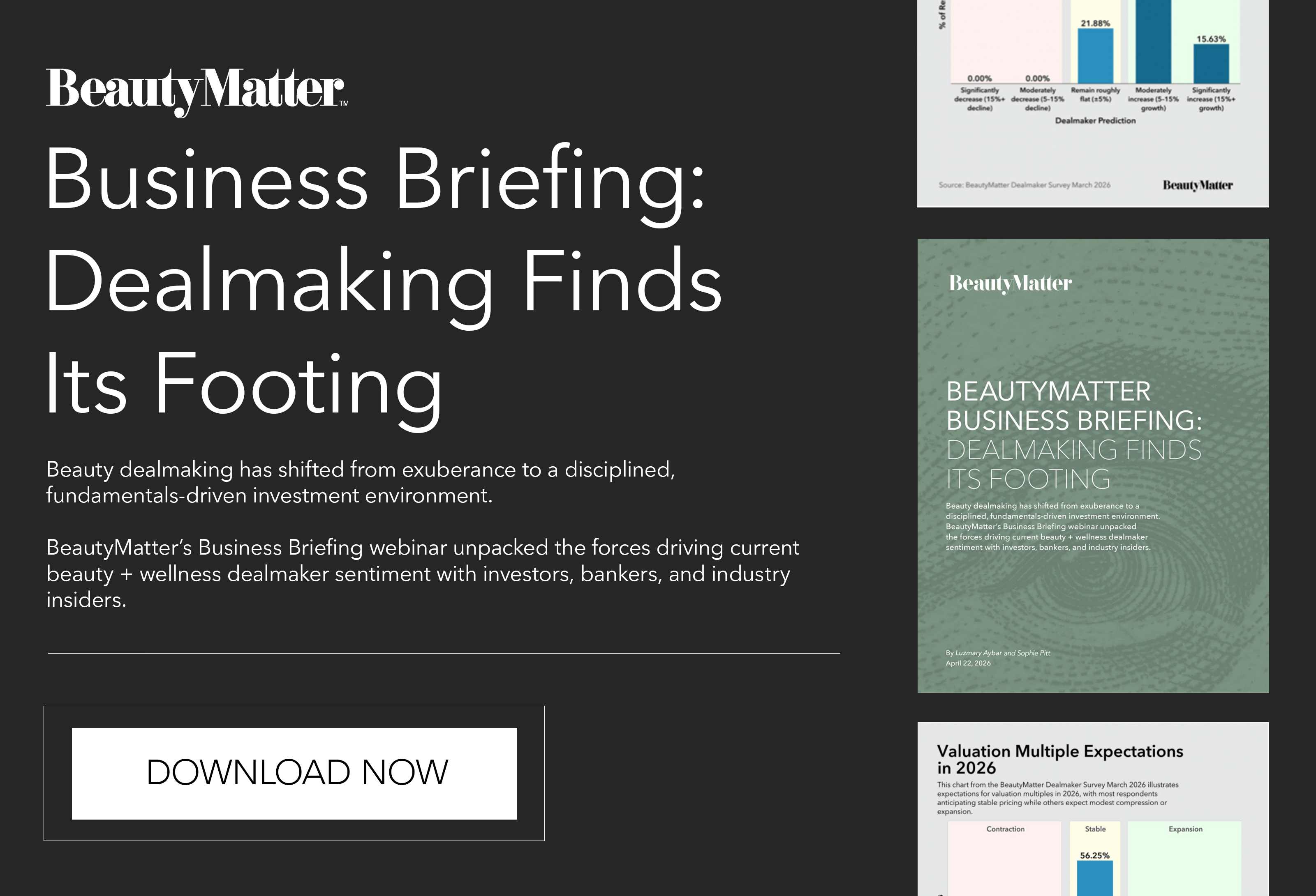 Business Briefing White Paper Ad 2