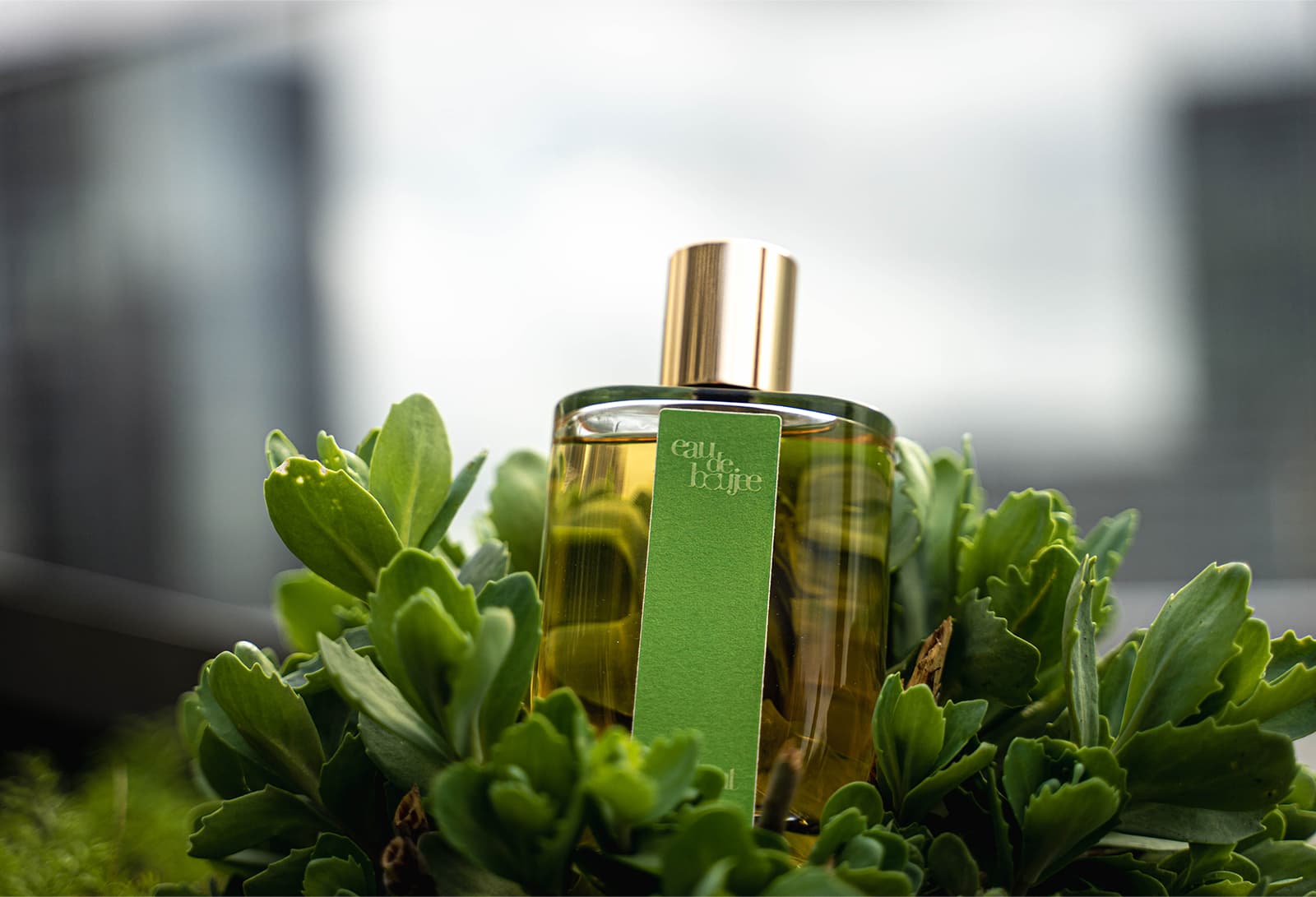 Boujee Bougies Postmodern Perfumery Approach | BeautyMatter