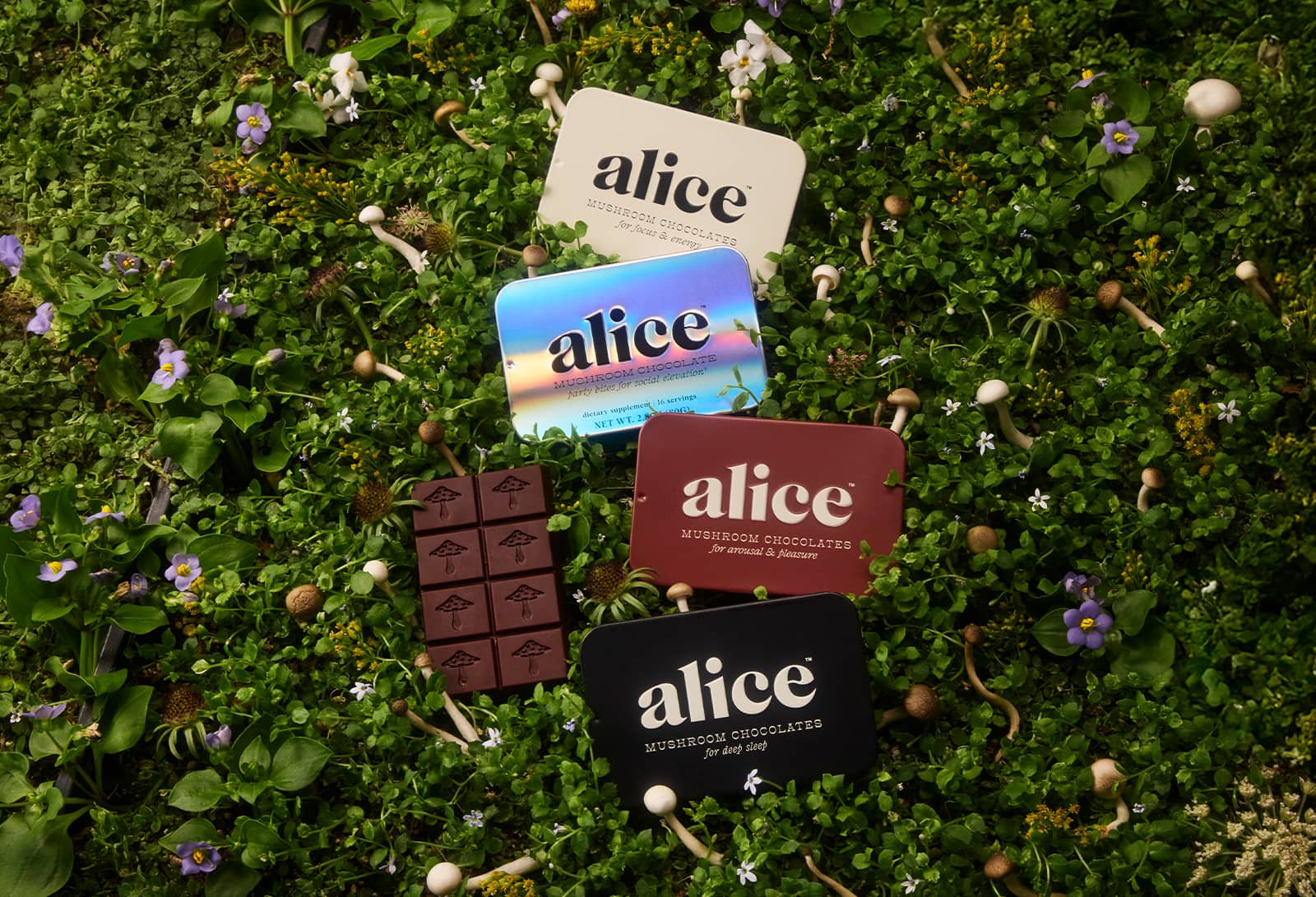 Alice Mushrooms Closes $8 Million Series A | BeautyMatter