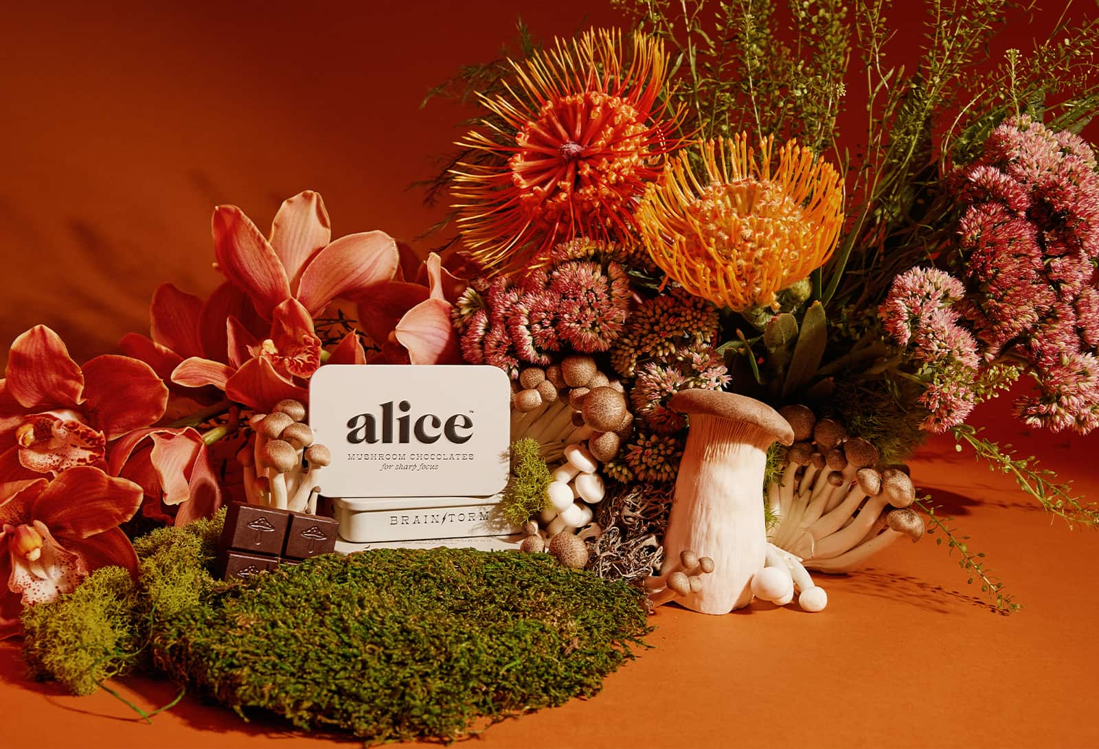 Alice Mushrooms Is Making Functional Mushrooms Mainstream Through ...